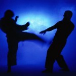 Le Shorinji Kempo un art martial d